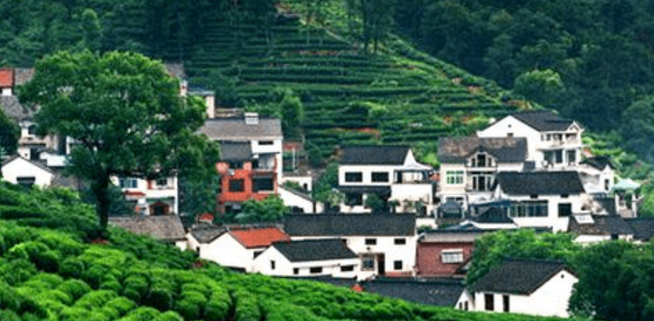 Meijiawu Tea Village